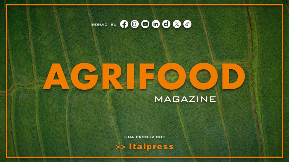 Agrifood Magazine – 7/5/2025 Agrifood Magazine – 7/5/2025