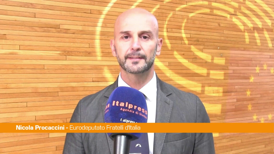 Ue, Procaccini “Dilazione regole automotive sia più lunga possibile” Ue, Procaccini “Dilazione regole automotive sia più lunga possibile”