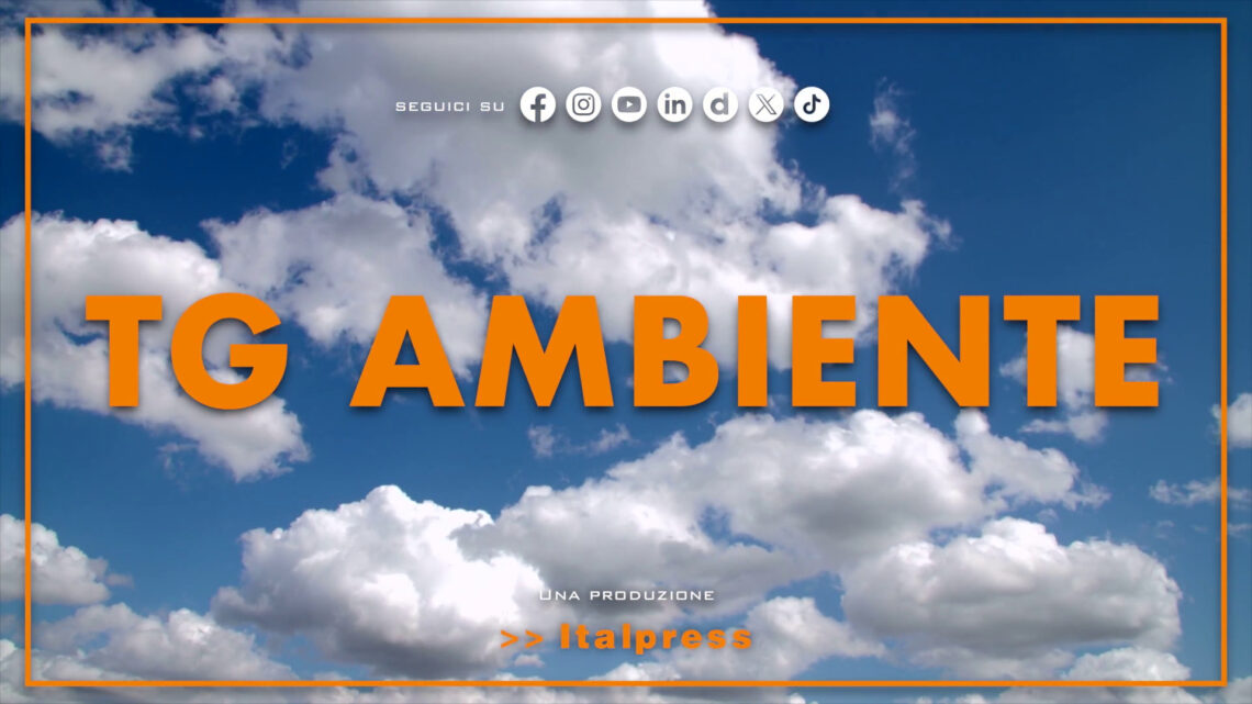 Tg Ambiente – 1/6/2025 Tg Ambiente – 1/6/2025